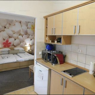 Marianna Wellness Apartman Zalakaros (5)