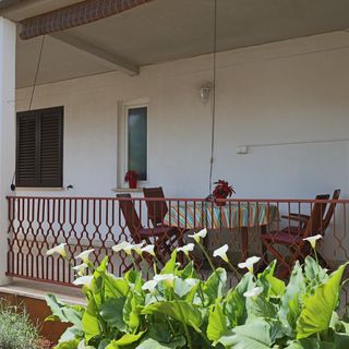 Apartman Luciana Umag (4)