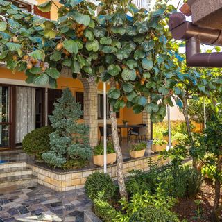 Apartments Mir Fazana (5)