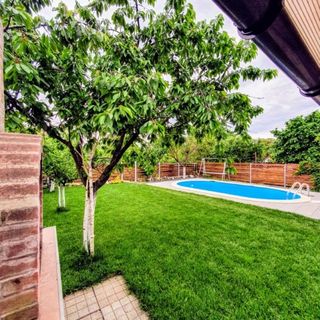 La Cassa Timișoara (2)