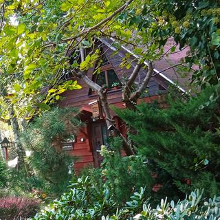 Apartament SECESJA Ostrów Wielkopolski (5)