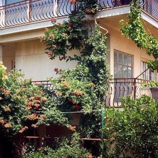 Apartments Ivan Vinisce (2)