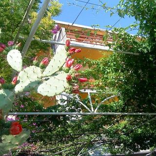 Apartments Bor Makarska (2)