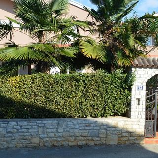 Apartments Leonard Porec (5)