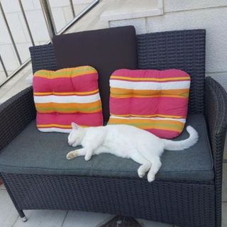 Apartments Mira Dubrovnik (5)