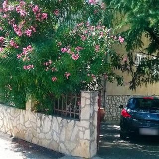 Apartment Renci Biograd (5)