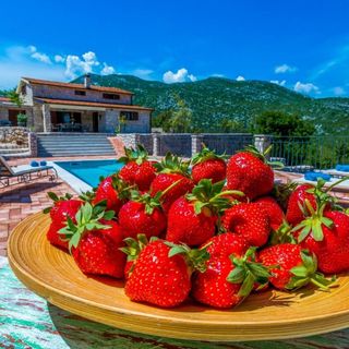 House Rusti Zivogosce (5)