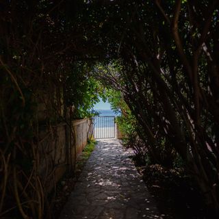 Apartments Bozena Vir (2)