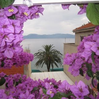 Apartment Graciela Gradac (5)