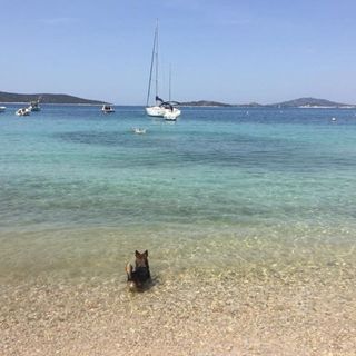 Apartments Delfin Prvic Sepurine (5)