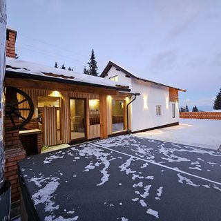 Coliba Apusenilor Muntele Băișorii (3)