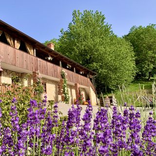 Ház Családok Részére Medencével Novi Marof, Zagorje - 19184 Novi Marof (4)