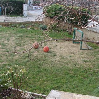 Apartment Ivan Tribunj (2)