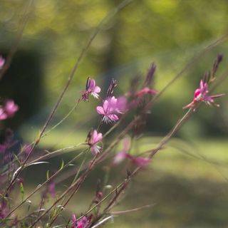 Nyaralóház Parkolóhellyel Graberje Ivaničko, Prigorje - 21324 Graberje Ivanićko (5)
