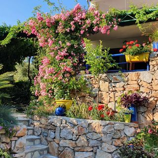 Apartmanok A Tenger Mellett Murter - 22397 (4)