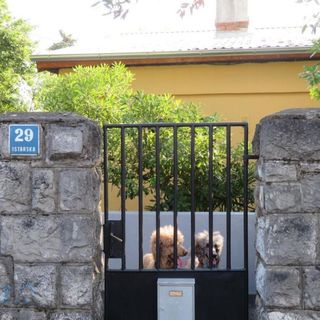 Apartmanok A Tenger Mellett Rijeka - 22429 (5)