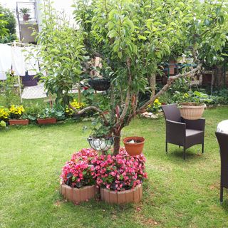 Apartmanok Parkolóhellyel Medulin - 23049 (5)