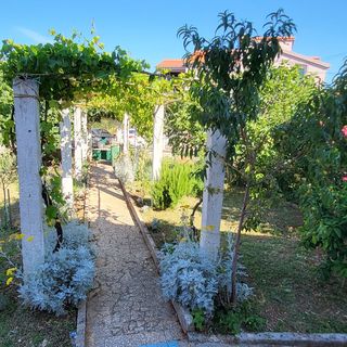 Apartmanok Parkolóhellyel Sukosan, Zadar - 23347 Sukošan (3)