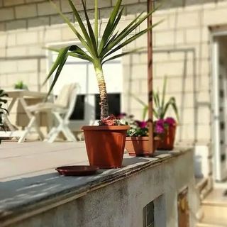 Apartmanok Parkolóhellyel Split - 23350 (5)