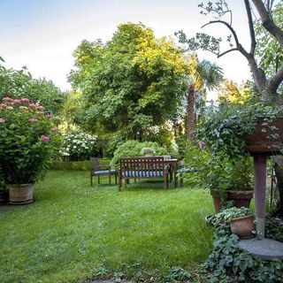 Apartmanok Parkolóhellyel Rovinj - 23505 (5)