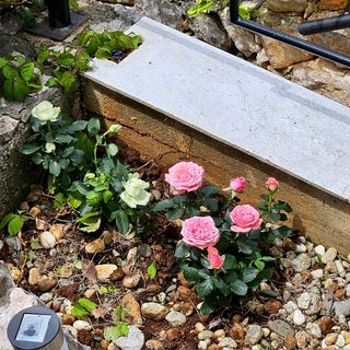 Apartmanok Parkolóhellyel Njivice, Krk - 23573 Njivice (4)