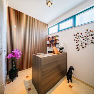 Apartments Tomo Novalja (4)