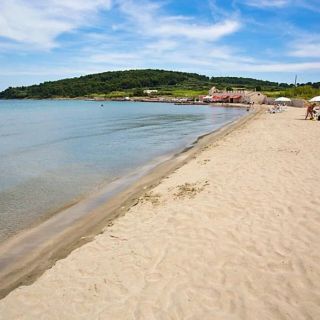 Apartment Sunny Lumbarda (4)