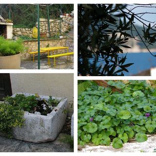 Apartment Bianca Igrane (4)