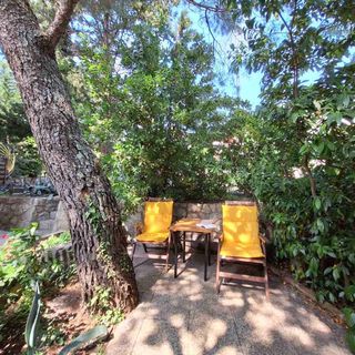 Apartment Ivy Selce (4)