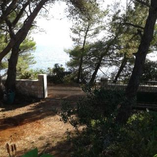 House More Maslinica II (5)