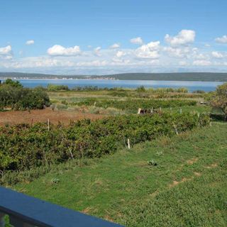 Apartments Miljenko Dobropoljana (4)