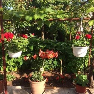 Apartments Villa Tanja Vodice (5)