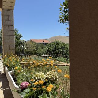 Apartments Josi Grebastica (4)