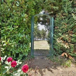 Apartman El Sol Umag (5)