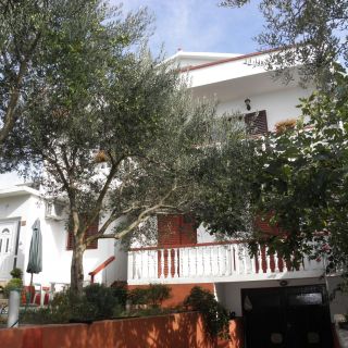 Apartments Pere Povljana (4)