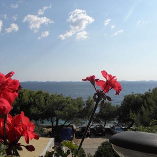 Apartments Djurdja Murter (2)