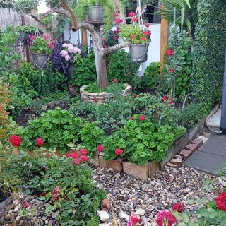 Apartmani Milena Biograd na Moru (5)