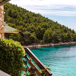 Apartments Villa Smokvina Bogomolje (4)