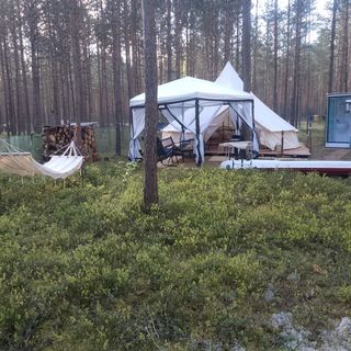 Zew Natury Brusy  (4)