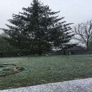 Cabana Ferma Grozea Abrud (2)