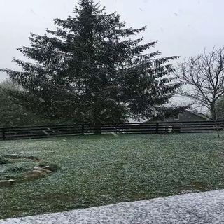 Cabana Ferma Grozea Abrud (2)