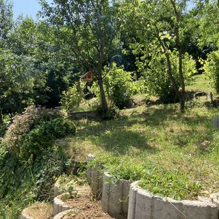 Borostyán Vendégház Zalaegerszeg (3)