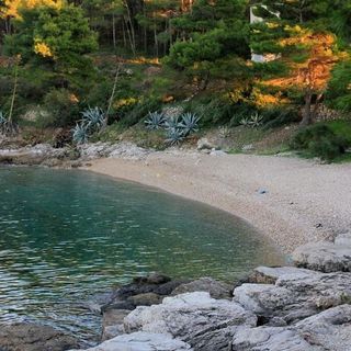 Apartments Zoki Vis (5)