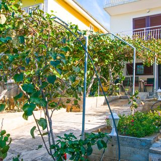 Apartment Luce Sv. Petar (3)