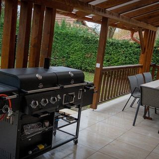 Nagyfoki-Delelő Szarvas (5)