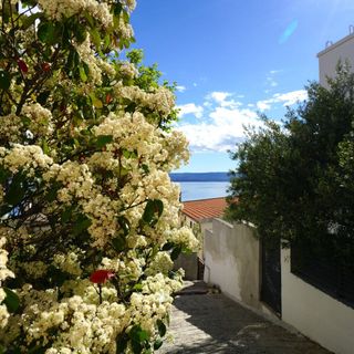 Apartment Lile Pisak (5)