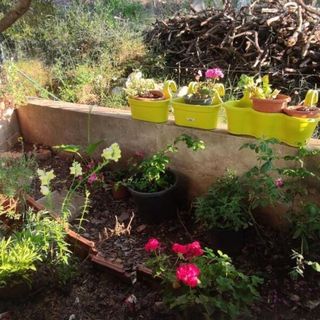 Apartments Vlado Rogac (4)