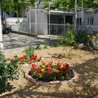 Apartments Zdravko Duce (5)