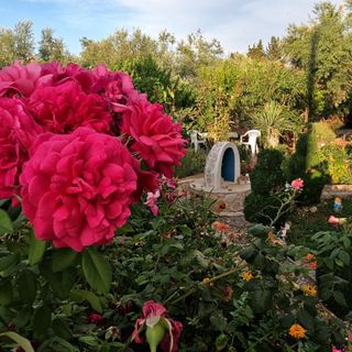 Apartment Mili Sutomiscica (5)