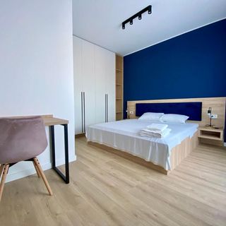 Eliza Apartments Timișoara (2)